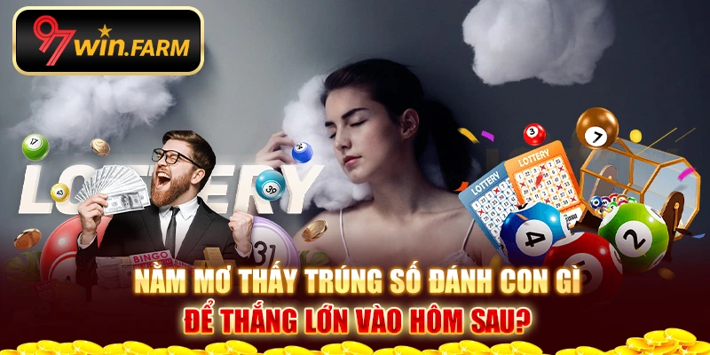 Nằm mơ thấy trúng số đánh con gì để thắng lớn vào hôm sau?