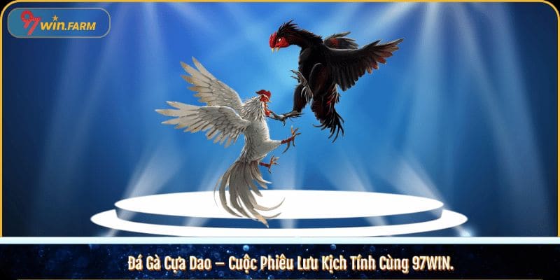 Đá Gà Cựa Dao – Cuộc Phiêu Lưu Kịch Tính Cùng 97WIN.