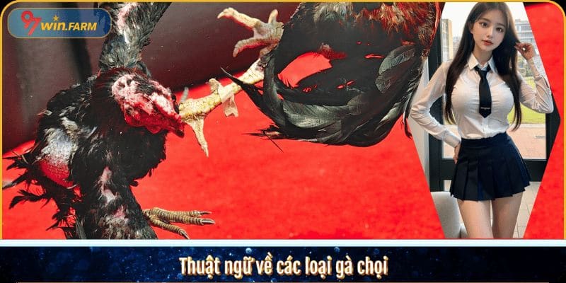 Thuật ngữ về các loại gà chọi